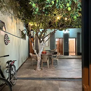 Lemon Breeze Tirana